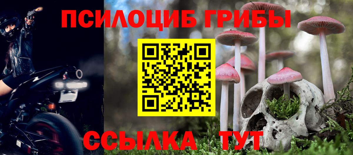 Псилоцибиновые грибы мицелий  Вход с VPN  Санкт-Петербург  Псилоцибиновые грибы ЛСД 
