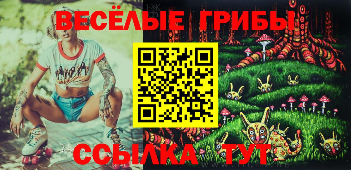 Псилоцибиновые грибы MAGIC MUSHROOMS Санкт-Петербург